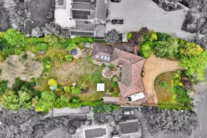 Plot View- click for photo gallery